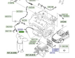 حساس الكرنك