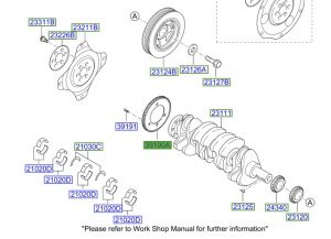 ترس حساس الكرنك