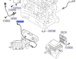 حساس الاكسجين