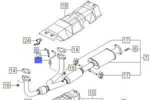 حساس الاكسجين