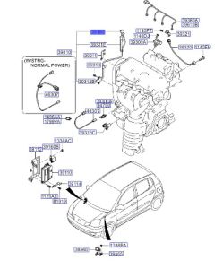 حساس الكرنك
