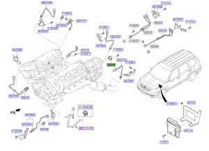 حساس الكامشافت (عامود التايمن)