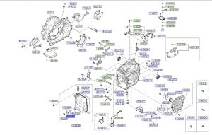 صرة قياس الزيت