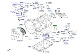 وجه صرة تصريف الزيت المغنطيسي