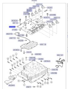 بودي بلف علوي