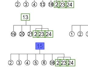 جلدة عكس امامي داخلي يسار