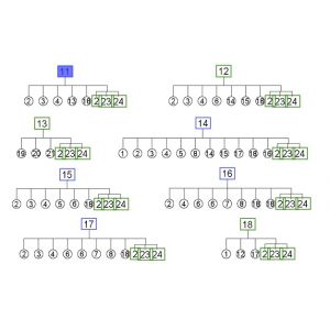 راس عكس امامي خارجي