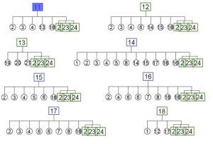 راس عكس امامي خارجي