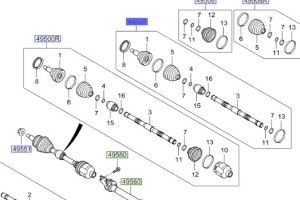 راس عكس امامي خارجي