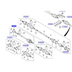 راس عكس امامي خارجي