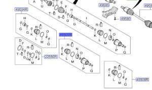 راس عكس داخلي