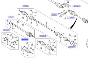 جلدة عكس امامي داخلي يسار