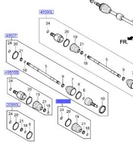 جلدة عكس امامي داخلي يسار