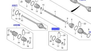 جلدة عكس امامي داخلي يسار