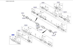 راس عكس داخلي