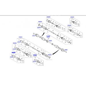 راس عكس داخلي