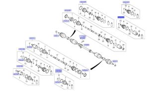 راس عكس داخلي
