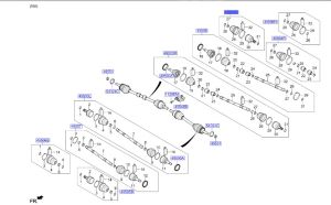 راس عكس داخلي
