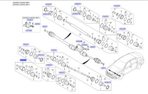 راس عكس داخلي