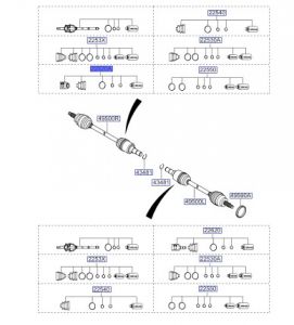 راس عكس داخلي