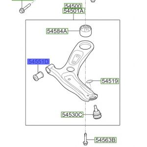 جلدة مقص سفلي