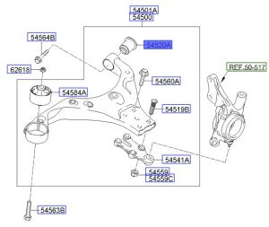 جلدة مقص سفلي