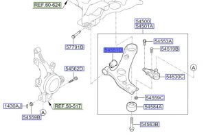 جلدة مقص سفلي
