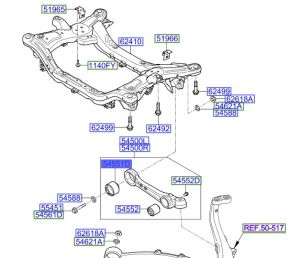 جلدة مقص سفلي