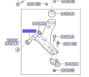 جلدة مقص سفلي