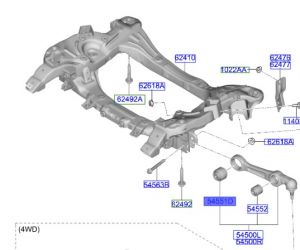 جلدة مقص سفلي