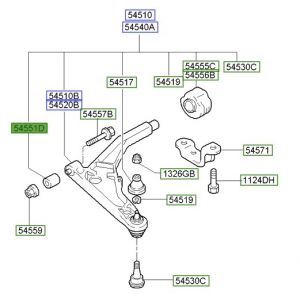 جلدة مقص سفلي