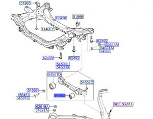 جلدة مقص سفلي