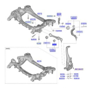 جلدة مقص سفلي