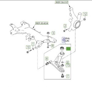 جلدة مقص سفلي