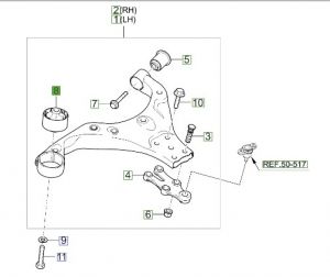 جلدة مقص سفلي