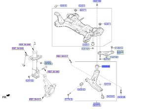 جلدة مقص سفلي