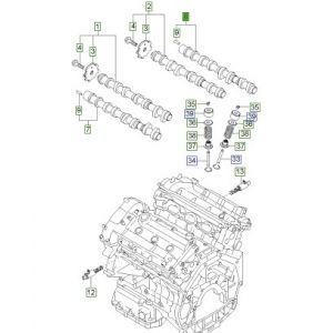 عامود كام الإكزوست (التايمن)