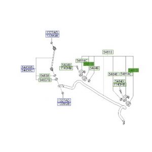جلدة عامود التوازن