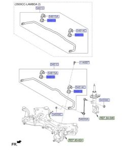 جلدة عامود التوازن