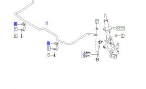 جلدة عامود التوازن