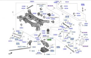 جلدة مقص سفلي