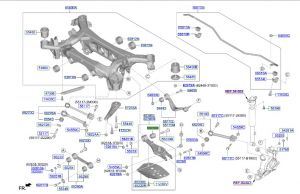 جلدة مقص سفلي