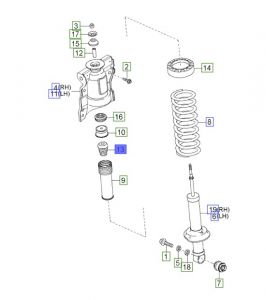 جلدة سست خلفية