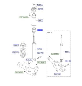 جلدة سست خلفية