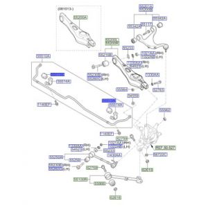 جلدة عامود التوازن