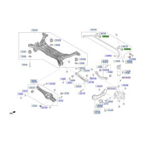 جلدة عامود التوازن