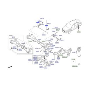جلدة عامود التوازن