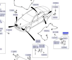 حساس ارتفاع المركبة الخلفي يمين