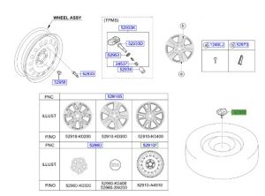 رباط تثبيت العجل الأضافي