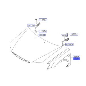 رفرف أمامي يسار